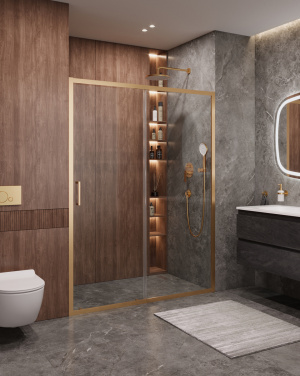 Душевая дверь в нишу CEZARES MOLVENO-BF-1-160-C-BORO-IV