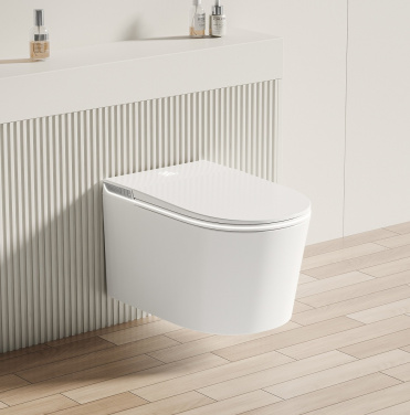 Унитаз Allen Brau Smart 4.I1001.20 белый, с функцией биде