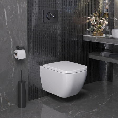 Унитаз Ambassador Forsa 243K19002RS (510*360*350) подвесной безободковый, 2 места