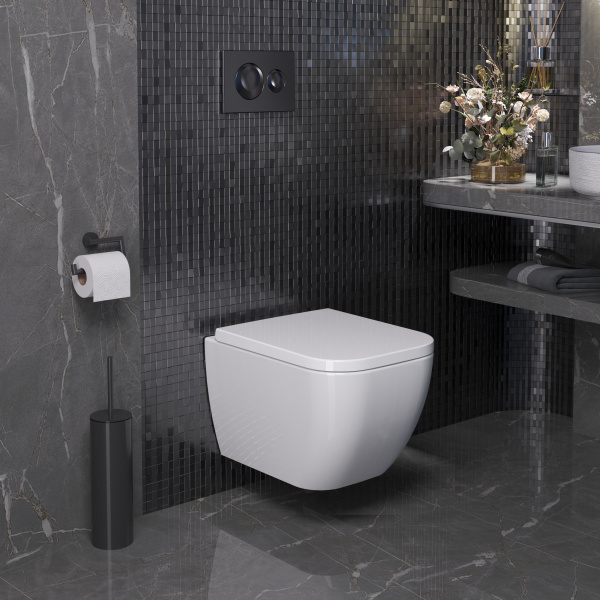 Унитаз Ambassador Forsa 243K19003S (475*360*350) подвесной , 2 места