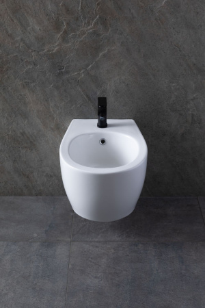 Биде Allen Brau Fantasy 4.11006.20 белый глянец