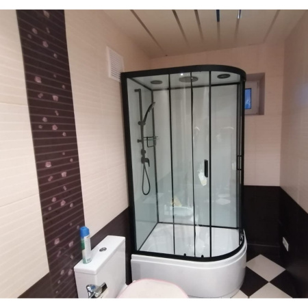 Душевая кабина Frank F412/2L Black 120x80