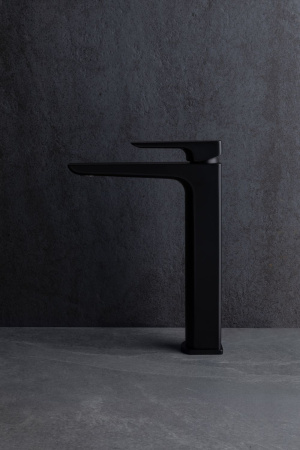 Смеситель Allen Brau Infinity 5.21002-31 черный матовый