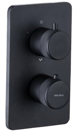 Смеситель Allen Brau Priority 5.31113-31 (с внутренней частью) черный матовый