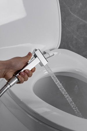 Смеситель Allen Brau Infinity 5.21005-00 (с внутренней частью) хром