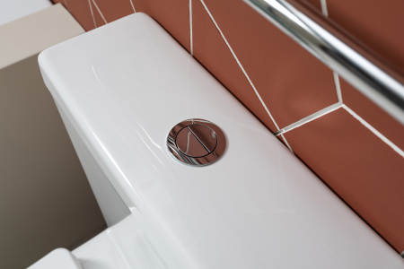 Унитаз Aquanet Rimless Cetus 2.0 C1 LX-2903