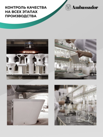 Унитаз Ambassador Forsa 243K19003S (475*360*350) подвесной , 2 места