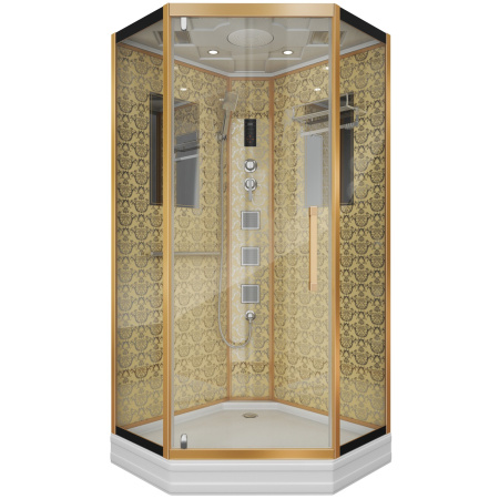 Душевая кабина Niagara Luxe NG-7717G 100x100