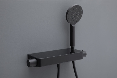 Смеситель Allen Brau Fantasy 5.11002-31 черный матовый