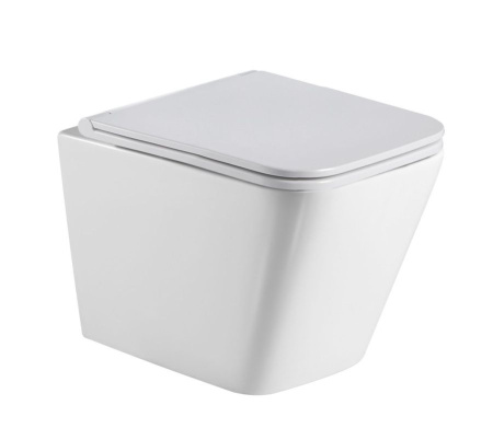 Унитаз WeltWasser Gelbach 043 GL-WT без смывного обода с микролифтом