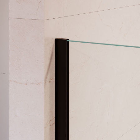 Душевая перегородка RGW WA-210B 800