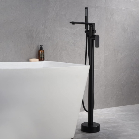 Смеситель для ванны Frank F2066Black