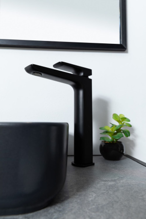 Смеситель Allen Brau Infinity 5.21002-31 черный матовый