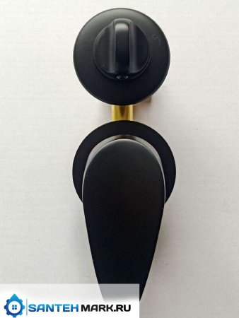 Душевая кабина Frank F400 Black 100x100 без крыши