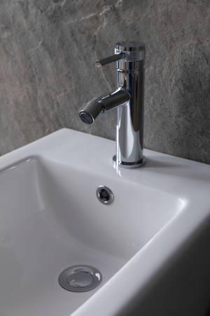 Смеситель Allen Brau Priority 5.31004-00 (с донным клапаном) хром