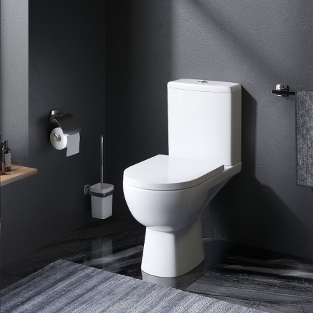 Унитаз AM.PM Sunny FlashClean C85C8600SC с бачком и сиденьем Микролифт