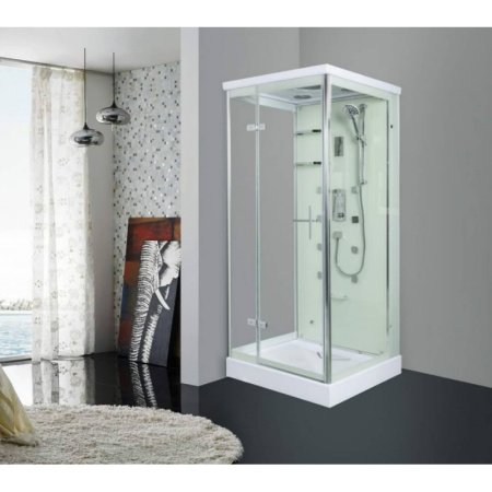 Душевая кабина WeltWasser Maine L 100x100