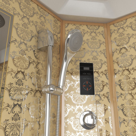 Душевая кабина Niagara Luxe NG-7744G 120x120