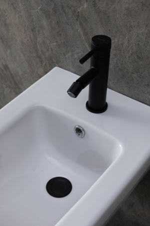 Смеситель Allen Brau Priority 5.31004-31 (с донным клапаном) черный матовый