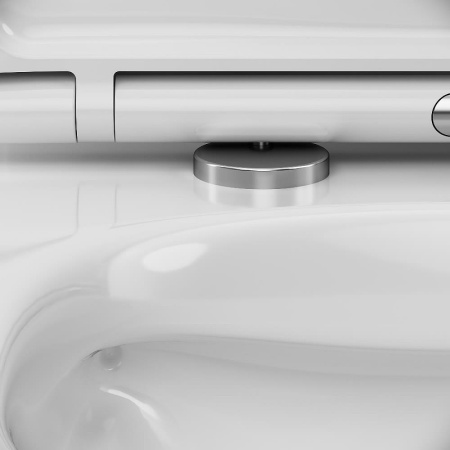 Унитаз AM.PM Sunny FlashClean C85C8600SC с бачком и сиденьем Микролифт