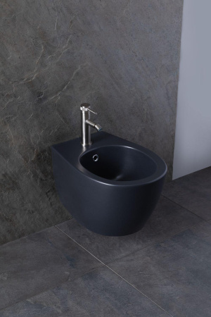 Биде Allen Brau Fantasy 4.11006.AN антрацит