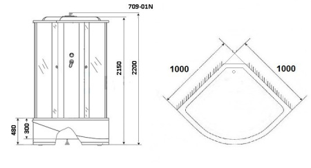 Душевая кабина Niagara Ultra NG-709-01N 100x100