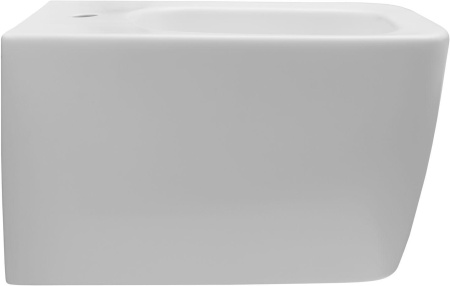 Биде Allen Brau Liberty 4.33010.21 белый матовый