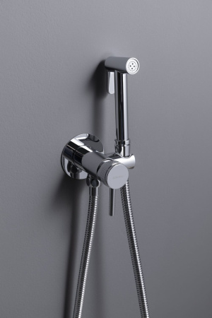 Смеситель Allen Brau Priority 5.31A29-00 (с внутренней частью) хром