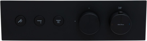 Смеситель Allen Brau Liberty 5.33003-31 (с внутренней частью) черный матовый