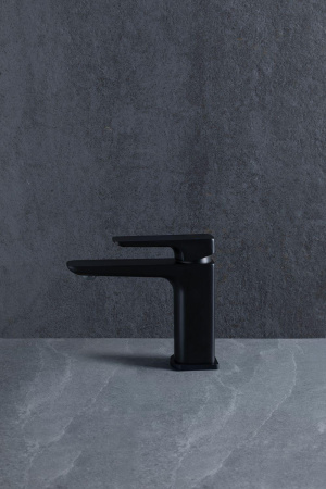 Смеситель Allen Brau Infinity 5.21001-31 черный матовый