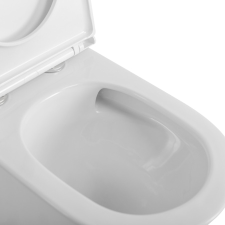 Унитаз BelBagno TRE-TOR BB673CP-MN-TOR/SC со смывом "Торнадо", с сиденьем дюропласт soft close, P-trap