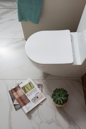 Унитаз Aquanet Rimless Cetus 2.0 C1 LX-2903