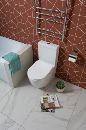 Унитаз Aquanet Rimless Cetus 2.0 C1 LX-2903