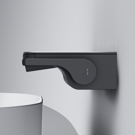 Смеситель Am.Pm Func F8F72722 Черный матовый