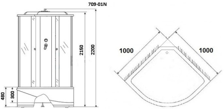 Душевая кабина Niagara Ultra NG-709-01N 100x100