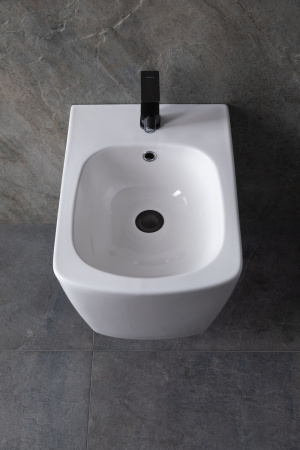 Биде Allen Brau Liberty 4.33005.20 белый глянец