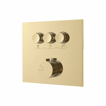 Душевой гарнитур Vincea VSFW-4311RBG встраиваемый, 3 режима, брашированное золото