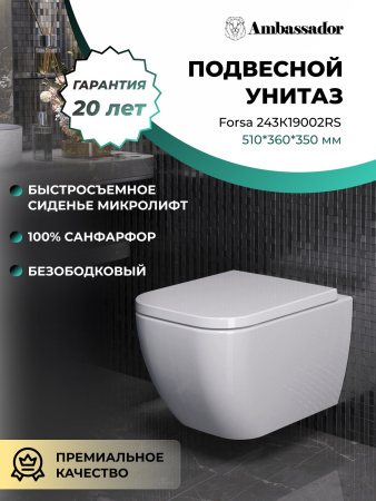 Унитаз Ambassador Forsa 243K19002RS (510*360*350) подвесной безободковый, 2 места