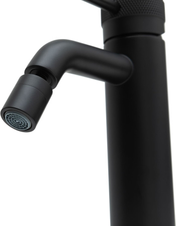 Смеситель Allen Brau Priority 5.31A04-31 (с донным клапаном) черный матовый