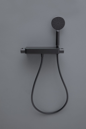 Смеситель Allen Brau Fantasy 5.11002-31 черный матовый