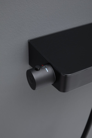 Смеситель Allen Brau Fantasy 5.11002-31 черный матовый