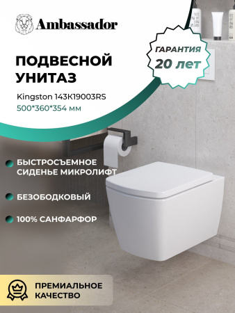 Унитаз Ambassador Kingston 143K19003RS (500*360*354) подвесной безободковый, 2 места