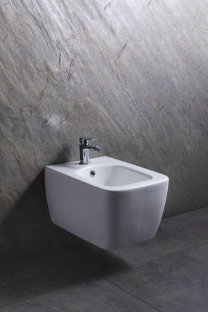 Биде Allen Brau Liberty 4.33010.21 белый матовый