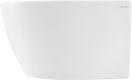 Биде Allen Brau Fantasy 4.11006.21 белый матовый Биде Allen Brau Fantasy 4.11006.21 белый матовый