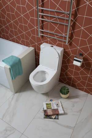 Унитаз Aquanet Rimless Cetus 2.0 C1 LX-2903