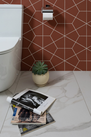 Унитаз Aquanet Rimless Cetus 2.0 C1 LX-2903