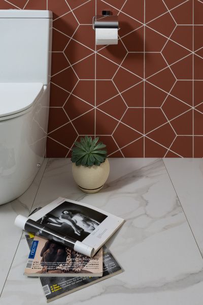 Унитаз Aquanet Rimless Cetus 2.0 C1 LX-2903