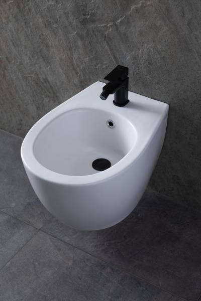 Биде Allen Brau Fantasy 4.11006.20 белый глянец