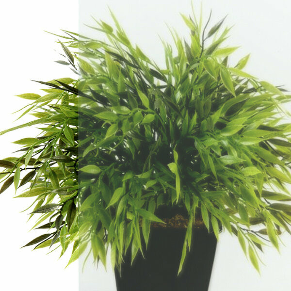 Душевой уголок SanDav Альфа-Блэк 90х90 (Щ0000054224) без поддона