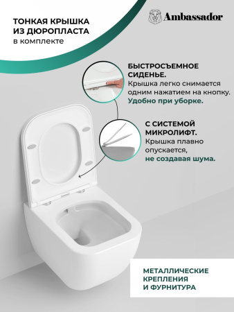 Унитаз Ambassador Forsa 243K19002RS (510*360*350) подвесной безободковый, 2 места